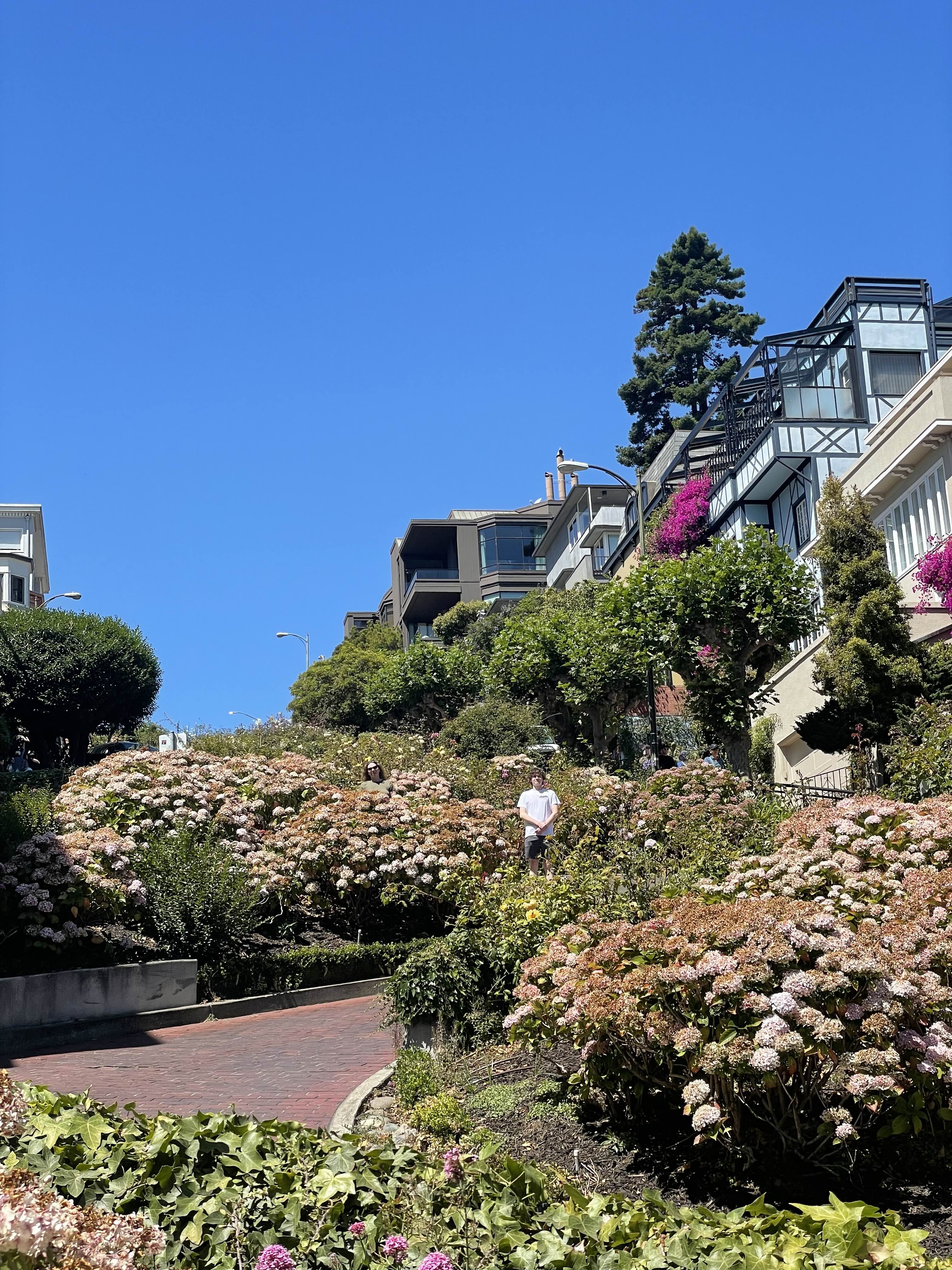 Lombard Street and its curvy road