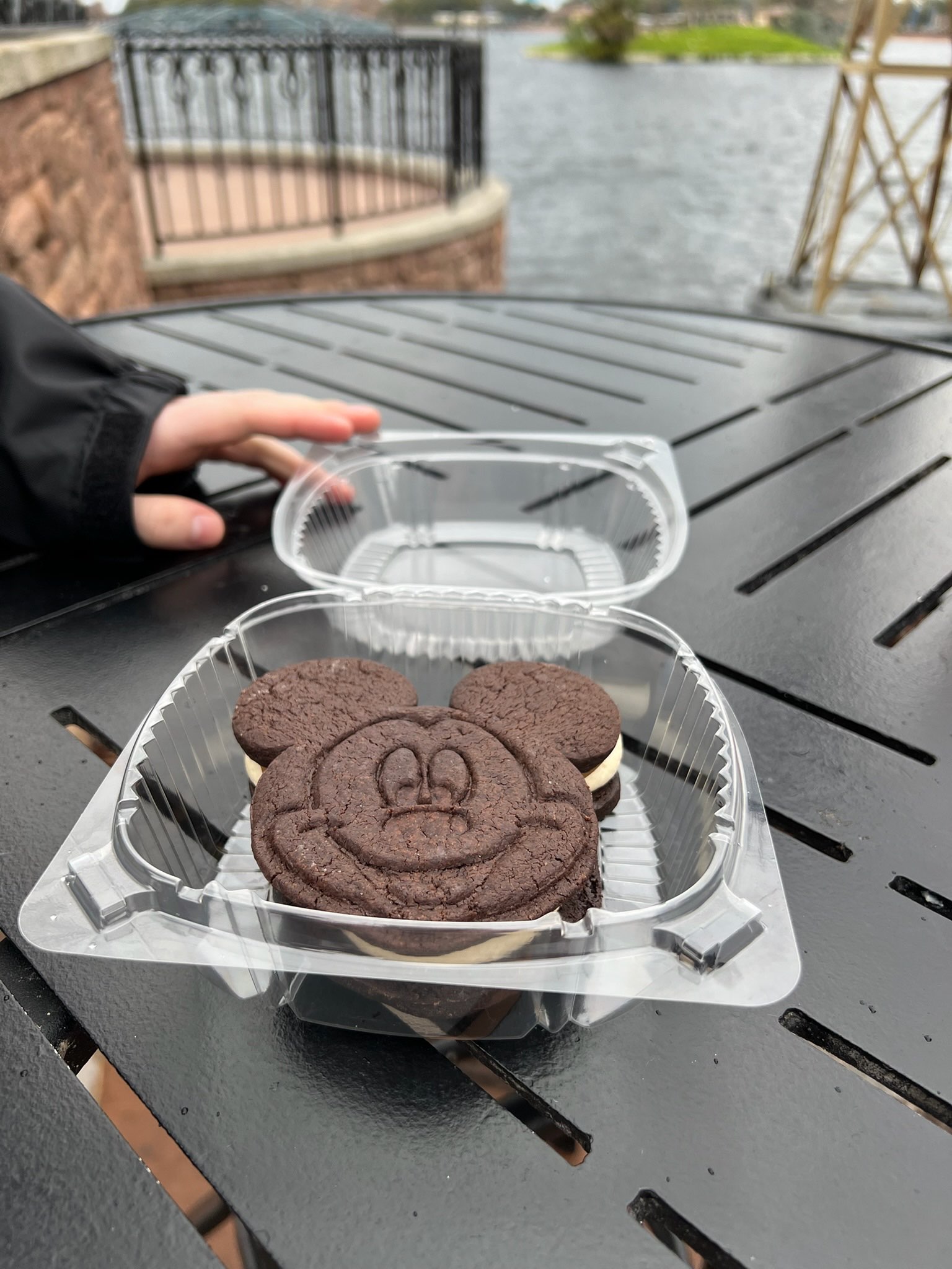 A really good cookie sandwich