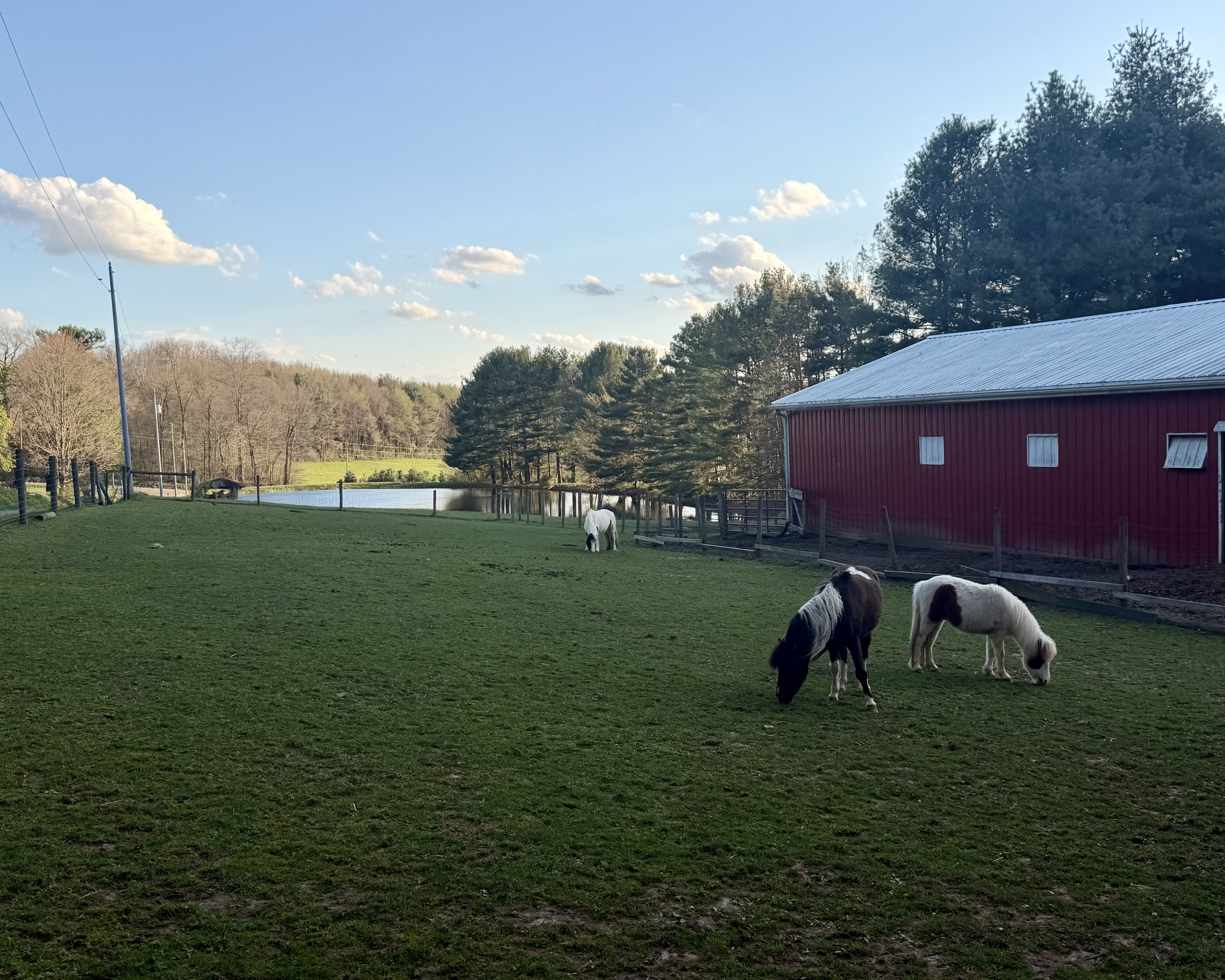Sunrise over the farm
