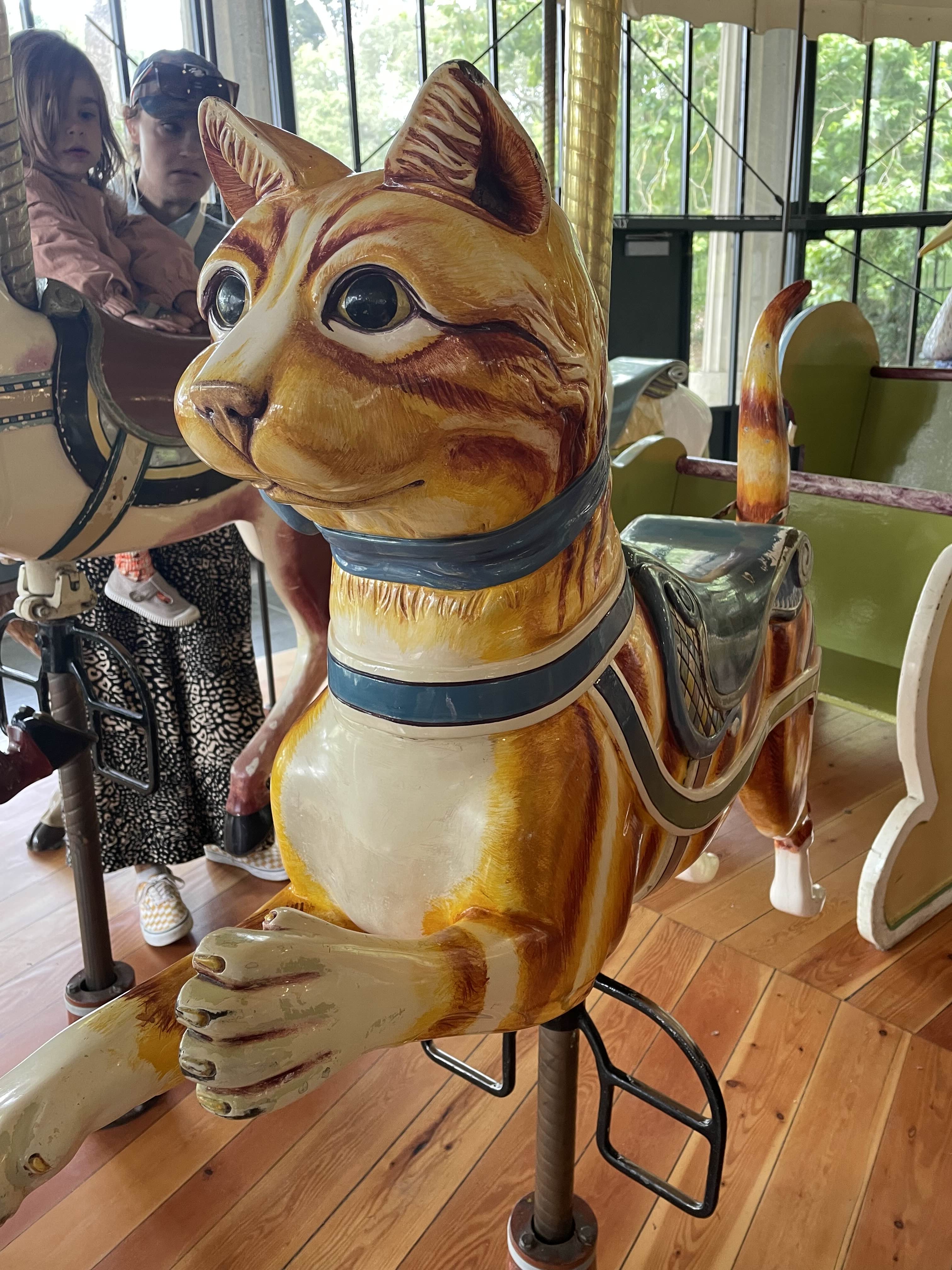 The cat on the Carousel