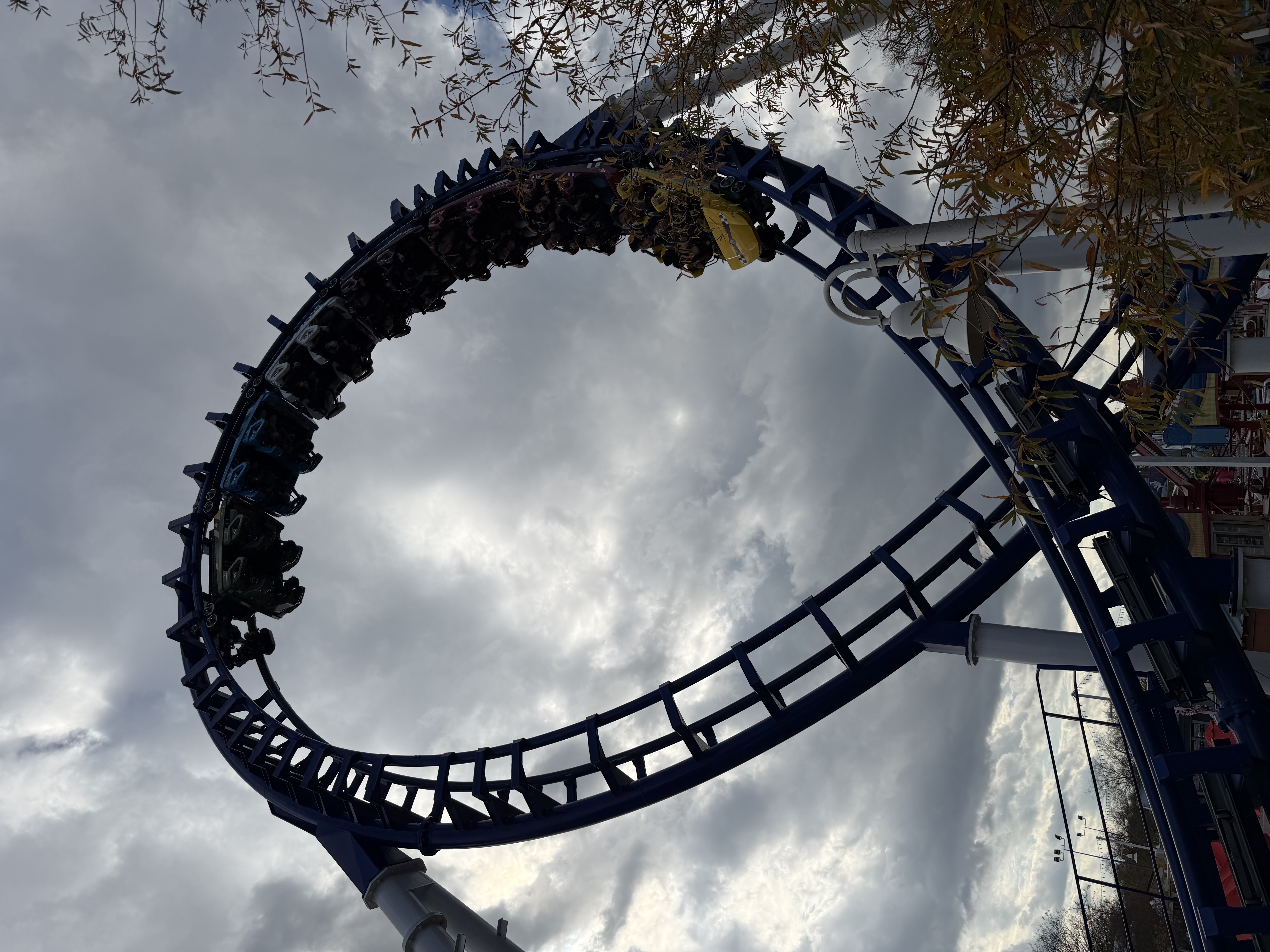 Flying Cobra