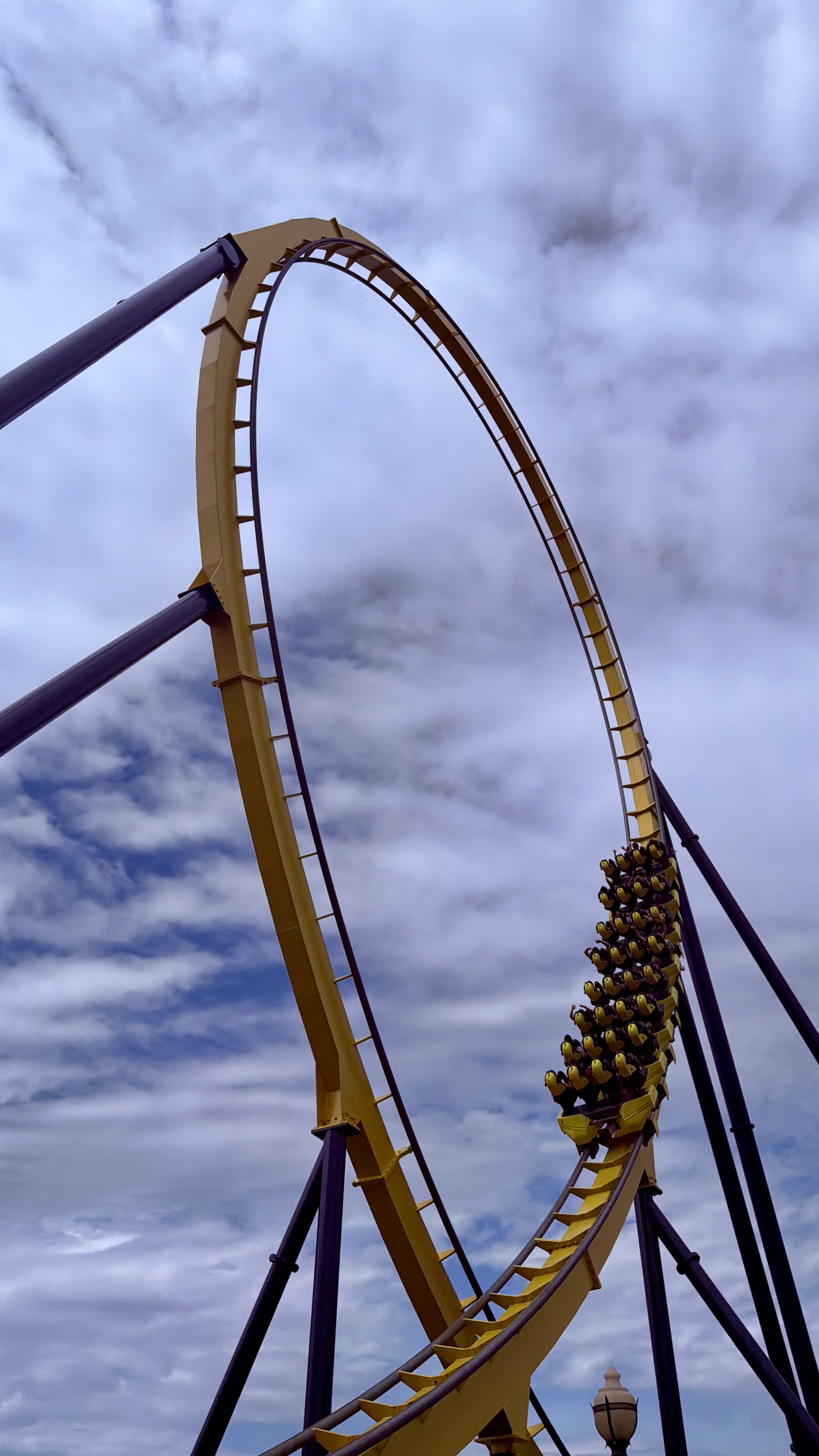 Dominator Loop